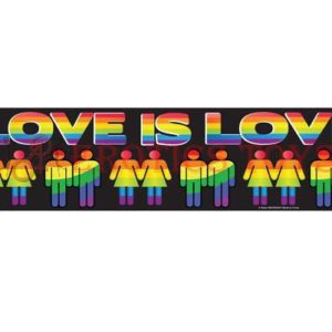Código: 3044 Bumper Magnets Love is Love