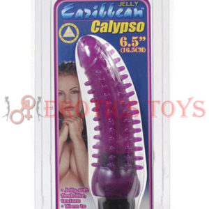 Código: 5100 Jelly Caribbean Calypso Vibe Purple