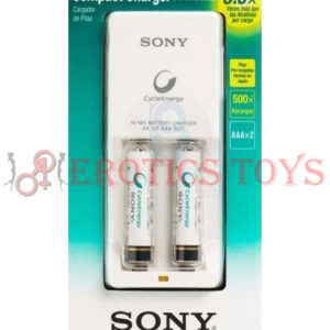 Código: 798 Batteries Rechargeable