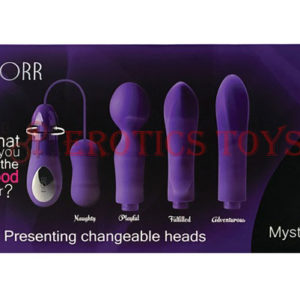 Código:	2865	DORR Mystic Switchable Head Vibe Set - Purple Set of 4