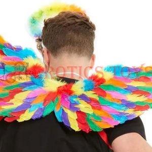 Código:	3031	Rainbow Small Feather Wings