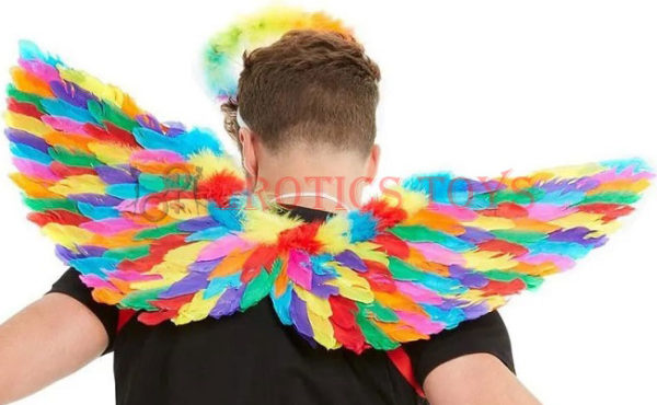 Código:	3031	Rainbow Small Feather Wings