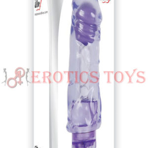 Código:	5070	Adam & Eve Chubby Fun Vibe - Purple
